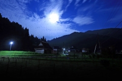 s_余呉町菅並
