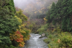 s_DSC_0900