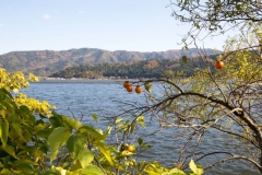 s_IMG_0560-1