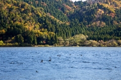 s_IMG_0561-1