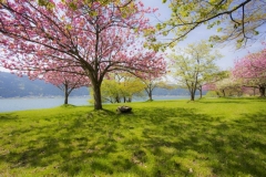 s_IMG_3501-1