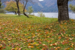 s_IMG_4676-2