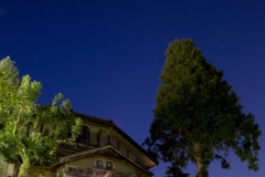 s_IMG_6821-1
