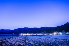 s_IMG_9536-1